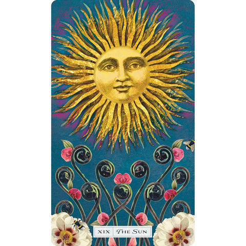 Tarot of the Cosmic Seed taro kortos su knygele anglų kalba