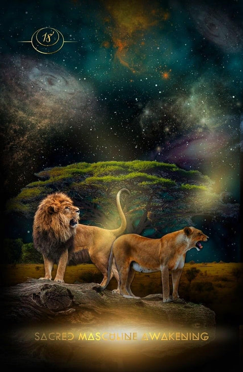 Creatrix Awakened orakulinės kortos – Muse Oracle Press, 33 kortos