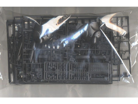 Hasegawa Großer Hund 1/20 plastikinis surenkamas robotas