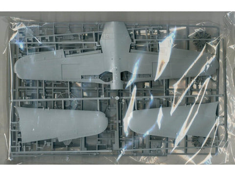 Hasegawa Kawanishi N1K2-J Shidenkai 1/32 surinkimo rinkinys