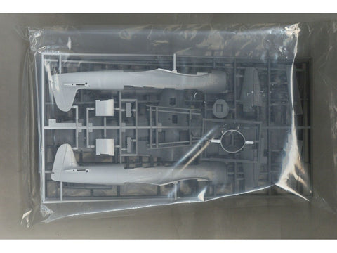 Hasegawa Nakajima C6N1 Saiun 1/48 plastikinis lėktuvo modelis