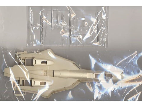 Hasegawa Macross Plus YF-19 1/48 plastikinis lėktuvo modelis