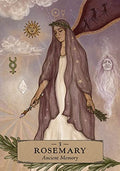Hay House: Herbal Astrology Oracle kortos Hay House - HOBI.LT 🇱🇹