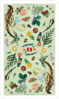 US Games Systems: Herbcrafter's Tarot kortos - HOBI.LT 🇱🇹