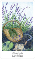 US Games Systems: Herbcrafter's Tarot kortos - HOBI.LT 🇱🇹