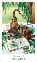 US Games Systems: Herbcrafter's Tarot kortos - HOBI.LT 🇱🇹