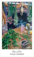 US Games Systems: Herbcrafter's Tarot kortos - HOBI.LT 🇱🇹