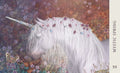 Blue Angel: Horse Wisdom Oracle kortos Blue Angel - HOBI.LT 🇱🇹