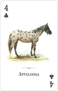 4 klubų korta su Appaloosa žirgo šonine iliustracija ant balto fono, antikvarinis kolekcinis žaidimo kortos dizainas