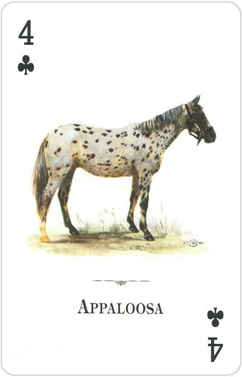 4 klubų korta su Appaloosa žirgo šonine iliustracija ant balto fono, antikvarinis kolekcinis žaidimo kortos dizainas