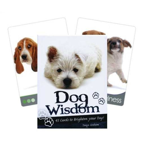 Blue Angel: Inspirational kortos Dog Wisdom - HOBI.LT 🇱🇹