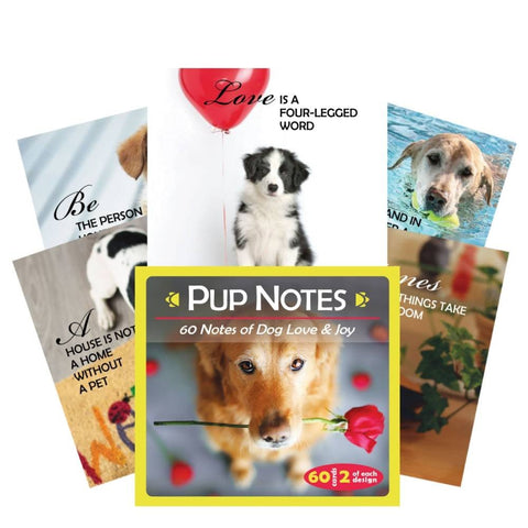 US Games Systems: Inspirational Pup Notes: 60 Meilės ir Džiaugsmo kortų - HOBI.LT 🇱🇹