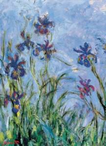 Claude Monet „Irisai“ dėlionė 1000 detalių – muziejinė kokybė