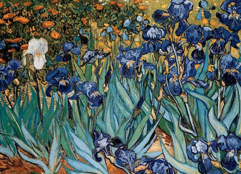 Vincent Van Gogh „Irisai“ 1000 detalių dėlionė meno mylėtojams