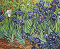 Luca - s: Irises, reproduction of Van Gogh SB444 - HOBI.LT 🇱🇹