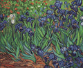 Luca - s: Irises, reproduction of Van Gogh SG444 - HOBI.LT 🇱🇹