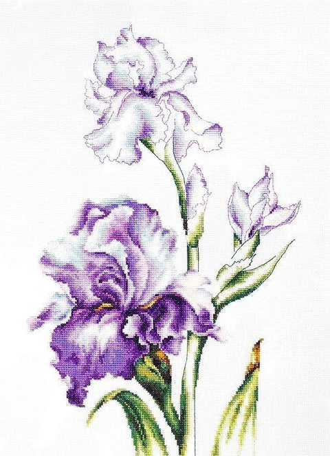 Luca - s: Irises SB2251 - HOBI.LT 🇱🇹