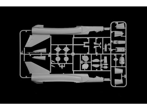 Italeri Dassault Mirage III lėktuvas 1/48 plastikinis surinkimo rinkinys 2816