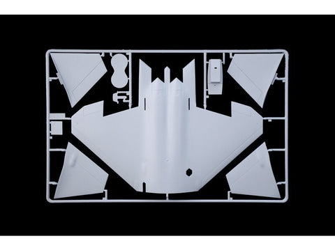 Italeri F-22 Raptor 1/48 plastikinis naikintuvo lėktuvo rinkinys