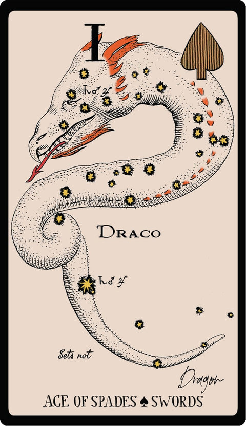 taro korta Draco Ace of Spades su kreminiu fonu, vingiuota gyvatės iliustracija, oranžinėmis detalėmis ir geltonomis žvaigždėmis