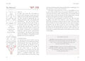 Welbeck Publishing: Kabbalah The Tree Of Life Oracle kortos - HOBI.LT 🇱🇹