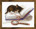 RIOLIS: Kitten on the Book siuvinėjimo rinkinys iš RIOLIS Nr.: 1725 - HOBI.LT 🇱🇹