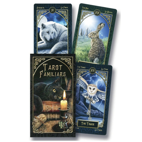 Tarot kortos „Tarot Familiars“ dėžutėje su juodu katinu ir žvake, pateikiamos keturiomis iliustruotomis kortomis