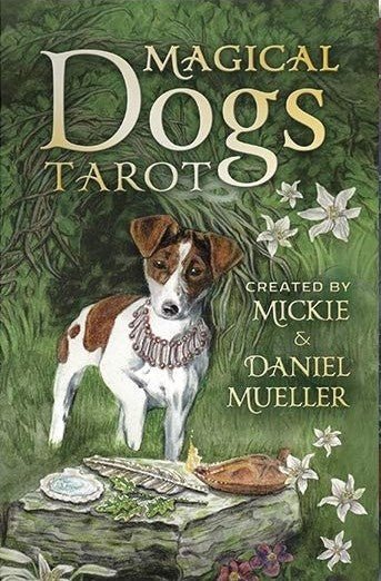 Llewellyn: Magical Dogs Tarott Kortos - HOBI.LT 🇱🇹