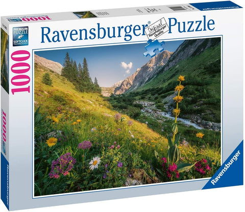 Ravensburger: Magical Valley 1000 Piece Puzzle - RAVENSBURGER dėlionė - HOBI.LT 🇱🇹