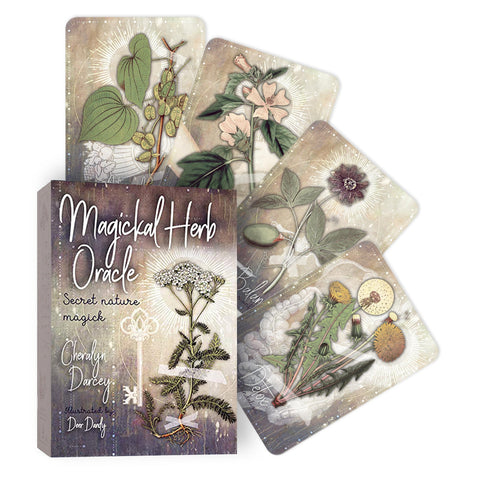 Magical Herb Oracle kortos su dėžute ir penkiomis atversto dizaino botaninėmis kortomis, aut. Cheralyn Darcey, vint. tonai