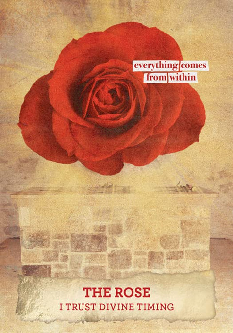 Plakatas The Rose su dideliu raudonu rožės žiedu ant sendinto popieriaus fono ir šūkiu I Trust Divine Timing