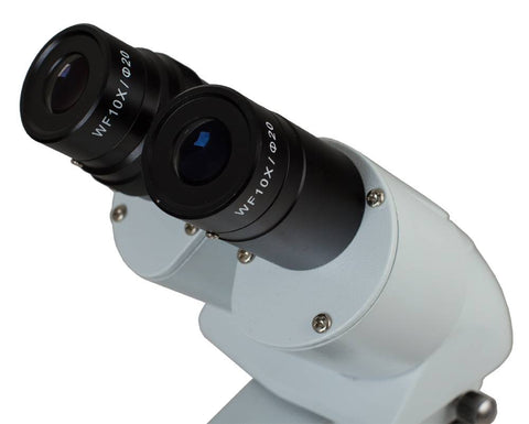 Stereo mikroskopas Bresser Erudit ICD 20x-80x su LED apšvietimu