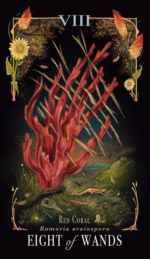 tarot korta Aštuoni lazdos su raudonos koralų iliustracija, skriejančiomis lazdomis ir ornamentiniu rėmu, artimas priartinimas