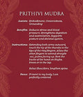 US Games Systems: Mudras for Awakening the Energy Body meditacinės kortos ir knyga - HOBI.LT 🇱🇹