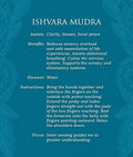 US Games Systems: Mudras: For Awakening The Five Elements kortos - HOBI.LT 🇱🇹