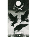 Lo Scarabeo: Murder Of Crows Tarot kortos - HOBI.LT 🇱🇹