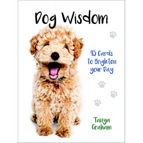kortų rinkinys Dog Wisdom, priekinis viršelis su besišypsančiu rudu pūkuotu šuniuku, 45 kortos kasdieniam pakilimui
