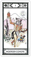 US Games Systems: Native American Tarot kortos - HOBI.LT 🇱🇹