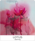 US Games Systems: Nature and Soul Yoga Wisdom kortos - HOBI.LT 🇱🇹