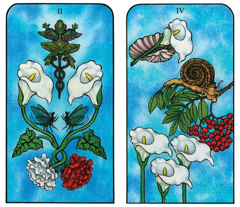tarot kortos su dviem iliustruotais priekiniais puslapiais: baltos kalijos, varlė su caduceus simboliu, sraigė ir šermukšnio uogos ant mėlyno fono