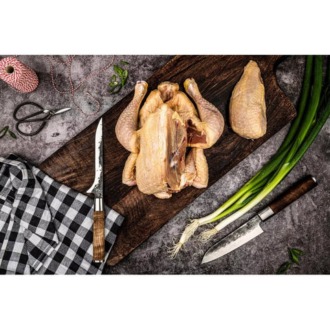 Profesionalus VG10 nukaulinimo peilis 16 cm, šaknų medžio rankena