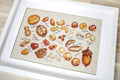 Rėminis plakatas su rankų pieštomis riešutų iliustracijomis ant smėlio spalvos drobės, baltame mediniame rėme, 30×40 cm, fotografuotas iš šono