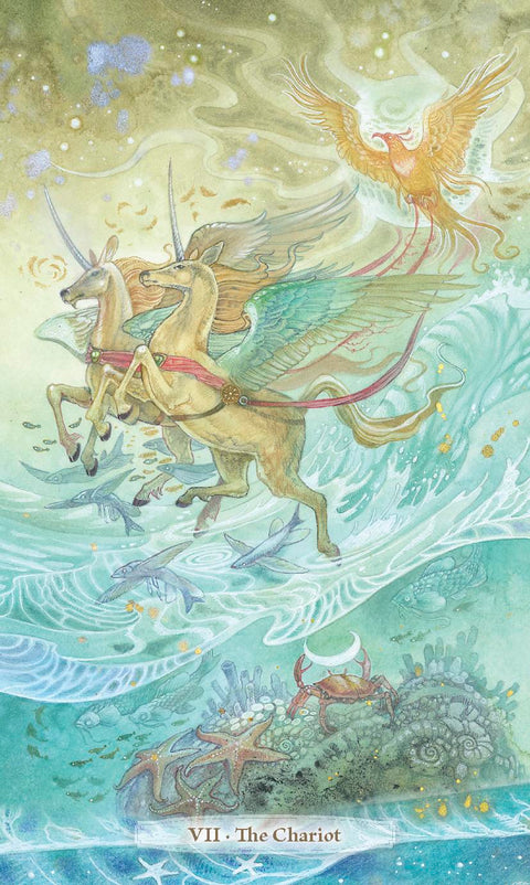 Verdance Tarot kortos – gamtos magija ir intuicijos galia