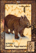 Blue Angel: Oracle kortos - HOBI.LT 🇱🇹
