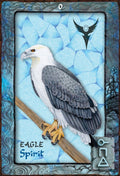 Blue Angel: Oracle kortos - HOBI.LT 🇱🇹