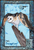 Blue Angel: Oracle kortos - HOBI.LT 🇱🇹