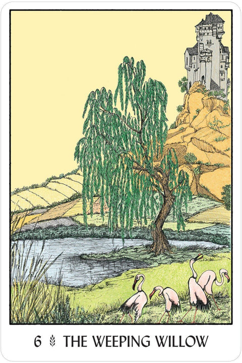 US Games Systems: Oracle Of The Trees kortos - HOBI.LT 🇱🇹