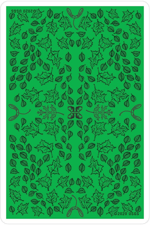 US Games Systems: Oracle Of The Trees kortos - HOBI.LT 🇱🇹