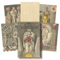 Lo Scarabeo: Oracular Cards Of Change žaidimų kortos - HOBI.LT 🇱🇹