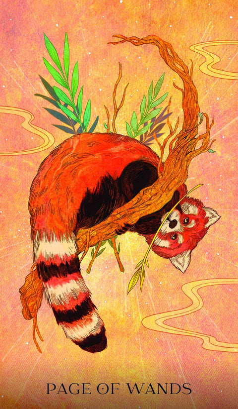 Rockpool: Oriens Animal Tarott Tarot kortos - HOBI.LT 🇱🇹